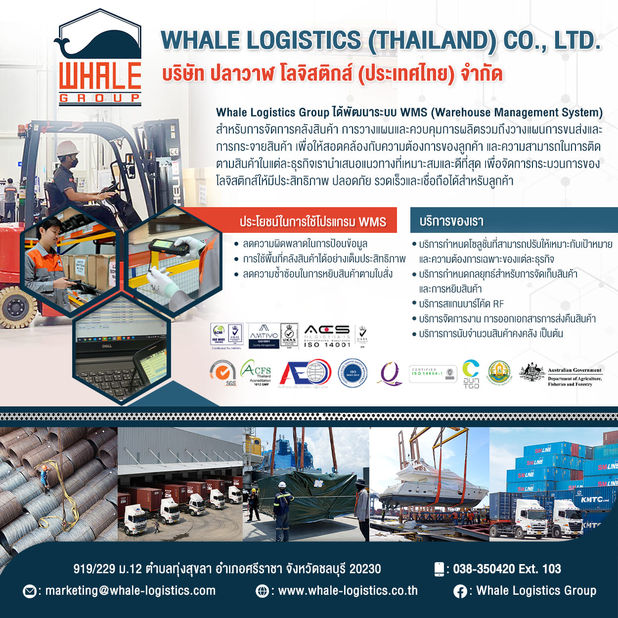 06Side3_WhaleLogistics